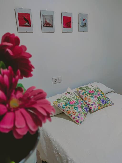 Apartamento Acerota, Con Parking Gratuito 科爾多瓦 外观 照片